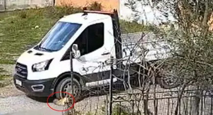 Seferihisar’da kamyonetin ezdiği Meks hayatını kaybetti