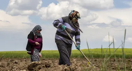 Çiftçilerin krediye erişimi zorlaştı: Tepkiler büyüyor
