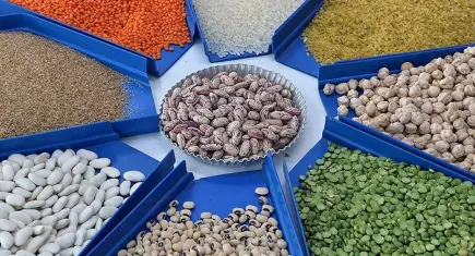 Tarım ve gıdada ihracat rekoru: 2025 yılı 27,7 milyar dolarla kapandı