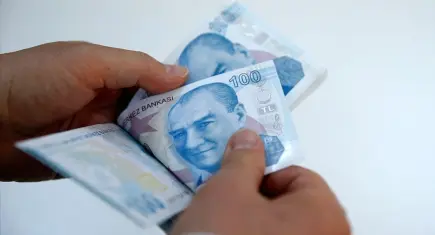 Gelir Tamamlayıcı Destek Programı başlıyor