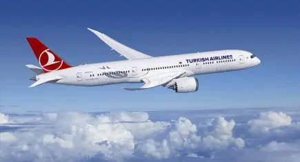 THY uçağında motor arızası: Hindistan’a acil iniş yaptı