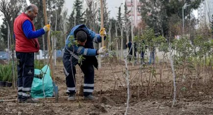 İzmir’de atıl alanlar mini ormanlara dönüşüyor