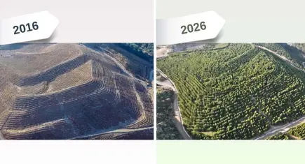 Eski maden sahası doğaya yeniden kazandırıldı