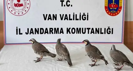 Kaçak avın bedeli ağır oldu: 4 keklik için 85 bin TL ceza!