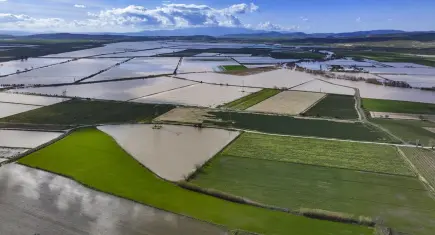 Gediz Nehri taştı, Menemen’de tarım arazileri sular altında kaldı