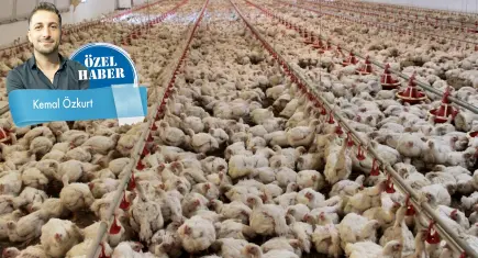 İhracat yasağı Türkiye’yi ‘spotçu’ konumuna düşürür