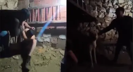 Güvercin çalan çocuğa ahırda işkence: Şüpheliler serbest bırakıldı