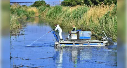 İzmir’de sivrisinek ve zararlılarla mücadelede teknoloji öne çıkıyor