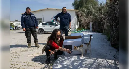 Bornova Belediyesi’ne Can Dostlar İçin Takviye Gıda Bağışı