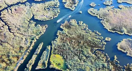 Dalyan Kanalı’nın labirenti andıran sazlıkları havadan görüntülendi
