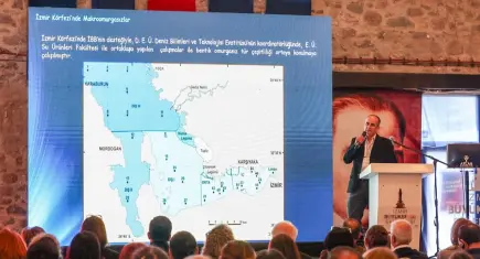 İzmir Körfezi için bilim insanları uyardı: Kirlilik artıyor, acil önlem şart