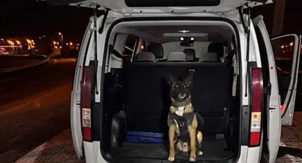 Narkotik köpeği affetmedi: Yakıt deposundan uyuşturucu çıktı!