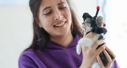 Buca Belediyesi, yaralı kediye umut oldu