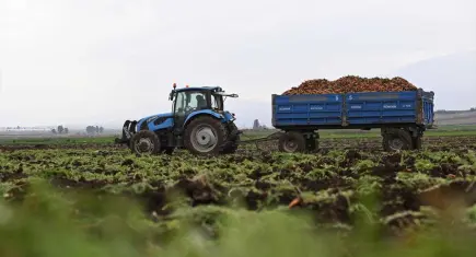 Buğday Derneği aktardı: Emisyonların yüzde 26’sı sofradan