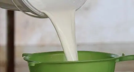 Süt sektöründe hammadde krizi