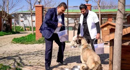 Seferihisar Belediyesi’nden sıfır atık ve dijital dönüşüm hamlesi