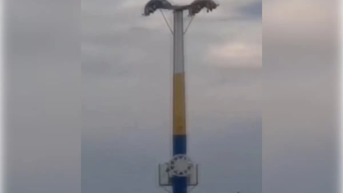 İzmir Buca'da baş aşağı mahsur kaldılar