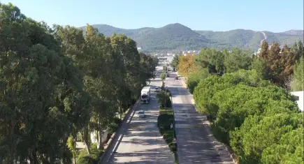 ESBAŞ’tan sürdürülebilirlik hamlesi:  8 bin ağacın kesilmesi önlendi