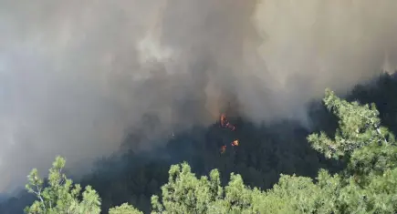 Antalya'da alevlerle 3 günlük mücadele: 8 ilçede 34 yangın 
