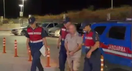 İzmir’de 3 köpeğe tüfekle ateş açıldı: Zanlı tutuklandı