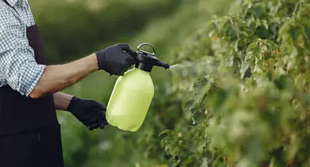 Buğday Derneği’nden pestisit uyarısı: Çiftçi sağlığı ve gıda güvenliği tehdit altında