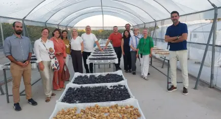 EİB, Avrupa’nın kuru meyve temsilcilerini Türkiye’de buluşturdu