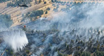 Ankara Gölbaşı'nda orman yangını