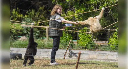 Yeni yuvalarında da birbirlerinden ayrılmadılar