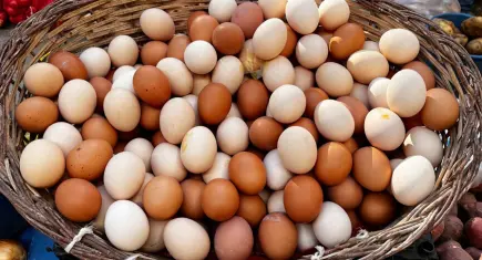 Kahverengi yumurta daha mı sağlıklı? Gerçek, sandığınız gibi olmayabilir