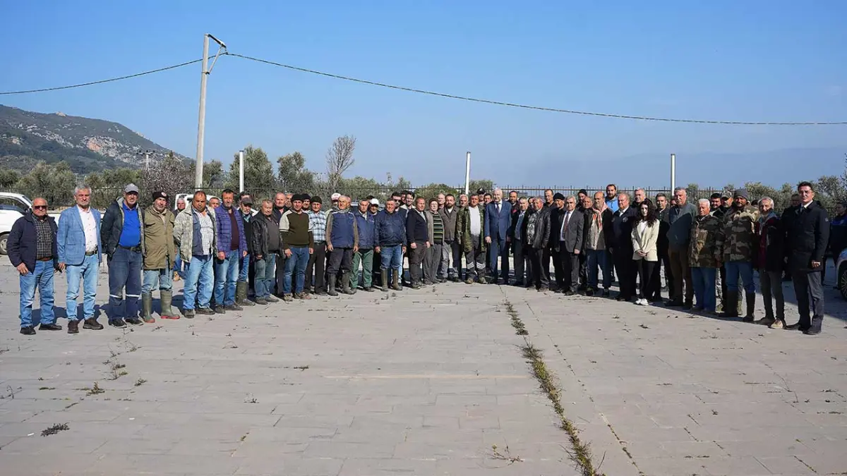 Kemalpaşa’da zeytin üreticisine kasa desteği: Son başvuru 16 Ekim
